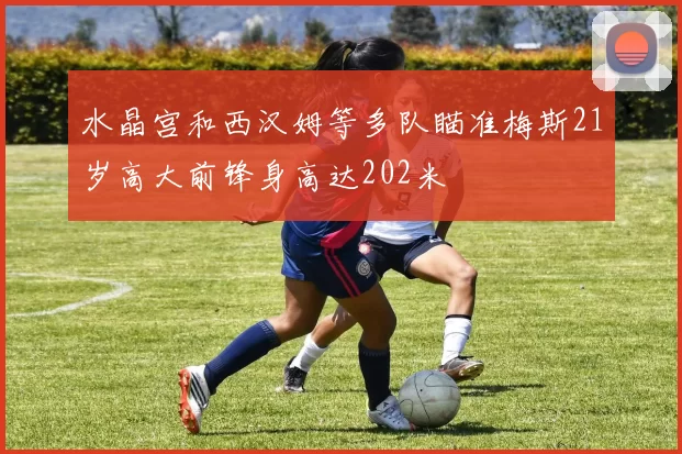 水晶宫和西汉姆等多队瞄准梅斯21岁高大前锋身高达202米